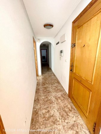 Apartamento en venta en Torrevieja (Alicante)