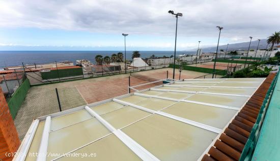 Club de Tenis, Bar cafetería y vivienda. - SANTA CRUZ DE TENERIFE