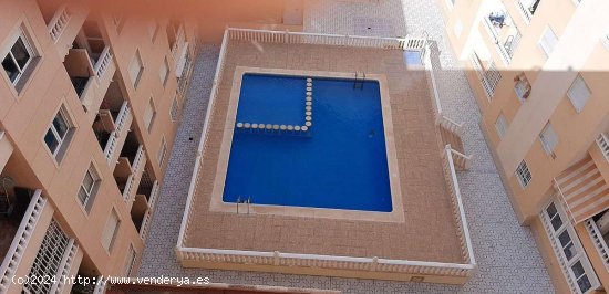  Apartamento en venta en Torrevieja (Alicante) 