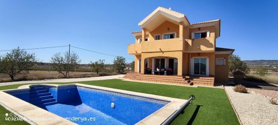 Villa en venta en Pinoso (Alicante)