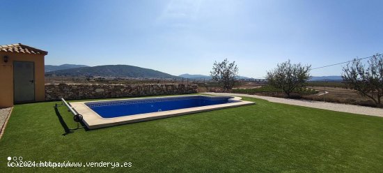 Villa en venta en Pinoso (Alicante)