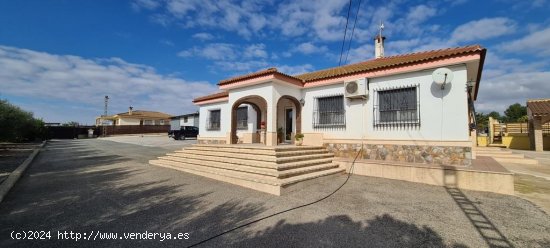  Villa en venta en Orihuela (Alicante) 