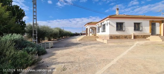 Villa en venta en Orihuela (Alicante)