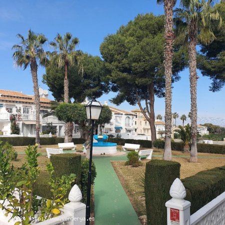  Chalet en venta en Torrevieja (Alicante) 