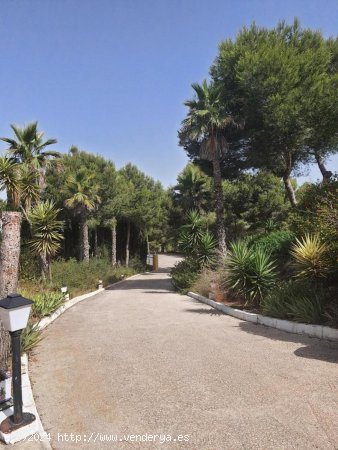 Villa en venta en Algorfa (Alicante)