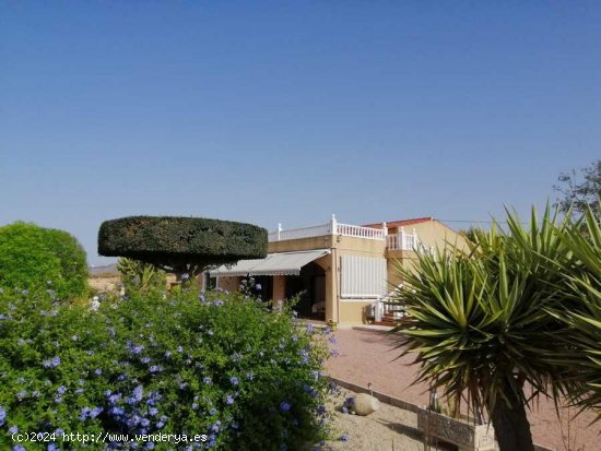 Villa en venta en Albatera (Alicante)