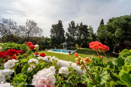  Villa en venta en Mijas (Málaga) 