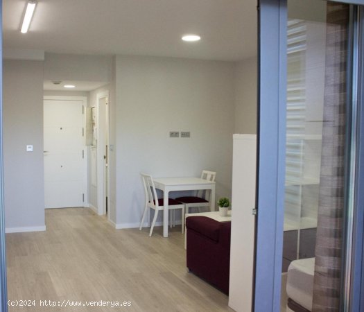 Estudio en alquiler en Granada (Granada)