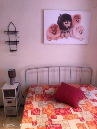 Apartamento en venta en Elche (Alicante)