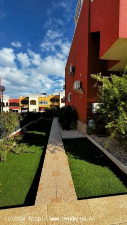 Bungalow en venta en Orihuela (Alicante)