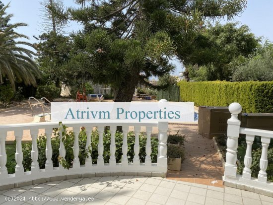 Apartamento en alquiler en Orihuela (Alicante)