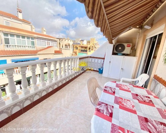  Apartamento en alquiler en Torrevieja (Alicante) 