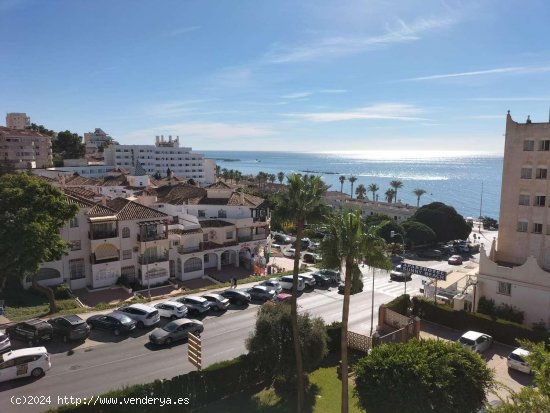 Apartamento en alquiler en Benalmádena (Málaga)