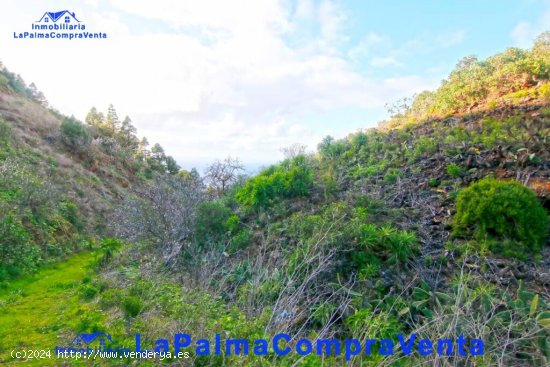 Suelo rústico en Venta en Aguatavar Santa Cruz de Tenerife