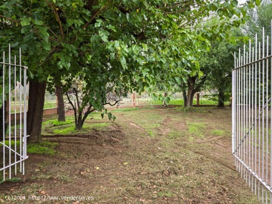 ¡Oportunidad única en la Zona Alta de Lleida!