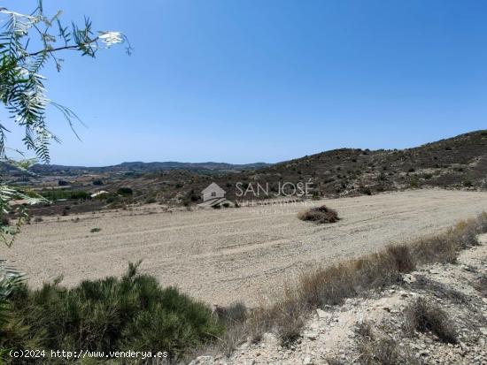 VENTA DE PARCELA EN ASPE, ZONA TORRETA-CARRETERA ROMANA - ALICANTE