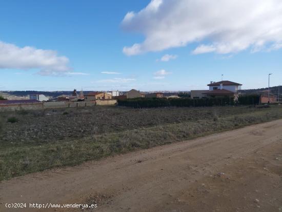 terreno urbano de 8.470 metros cuadrados en Carrascal, Zamora - ZAMORA