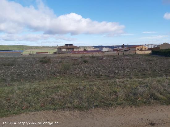 terreno urbano de 8.470 metros cuadrados en Carrascal, Zamora - ZAMORA