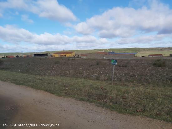 terreno urbano de 8.470 metros cuadrados en Carrascal, Zamora - ZAMORA