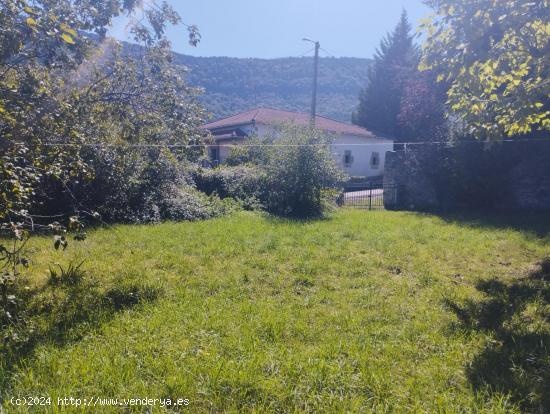 Terreno de 1000 metros con casa de piedra quemada - BURGOS