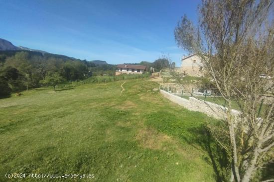 PARCELA URBANA EN VILLANUEVA DE MENA - BURGOS