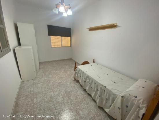 ALQUILER ESTUDIANTES QUEDA 1 HABITACION EN  280 EUROS - ALMERIA