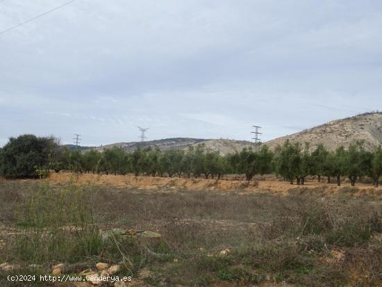 PRECIO de OCASIÓN!! Parcela de 12.000 m2 para construir en Benejama - ALICANTE