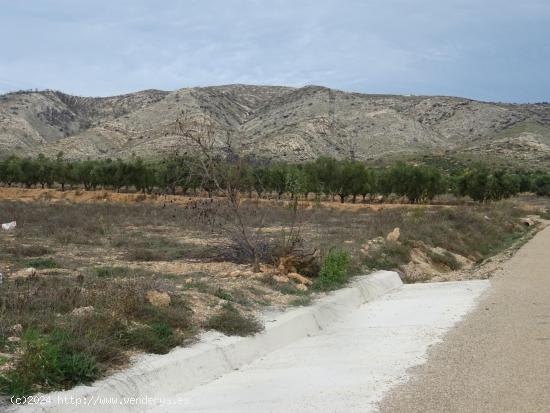 PRECIO de OCASIÓN!! Parcela de 12.000 m2 para construir en Benejama - ALICANTE