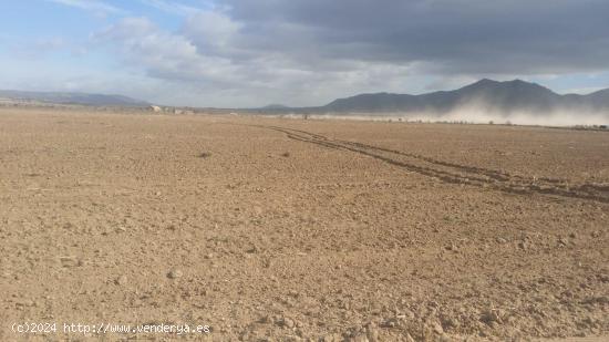 Finca rústica de 80000 m2 segregable. Posibilidad de construir vivienda - ALICANTE