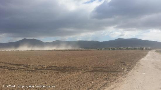 Finca rústica de 80000 m2 segregable. Posibilidad de construir vivienda - ALICANTE