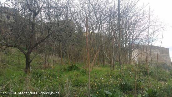 Terreno urbano en Biar, en la ladera del Castillo-PROMOCIÓN DE ADOSADOS!! - ALICANTE