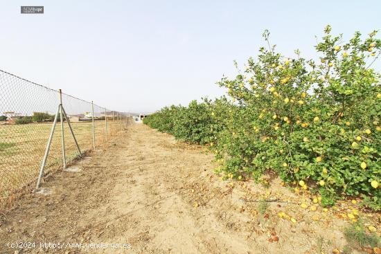 FINCA RÚSTICA EN CAMPANILLAS - MALAGA