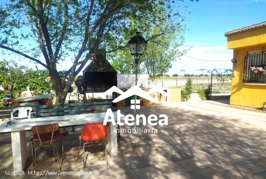 PARCELA EN VENTA - ALBACETE