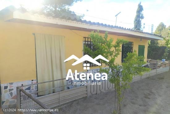 PARCELA EN VENTA - ALBACETE