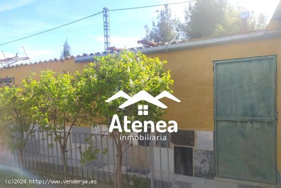 PARCELA EN VENTA - ALBACETE