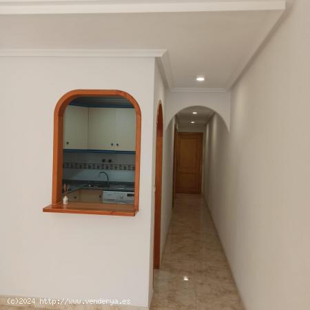 ALQUILER PISO DE TRES HABITACION CON DOS BAÑOS EN GUARDAMAR - ALICANTE