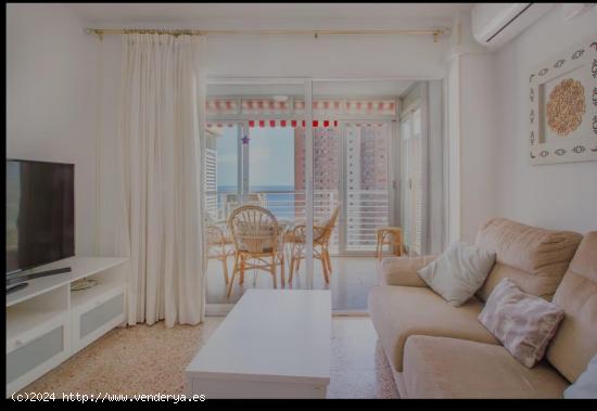 En 2ª linea de playa Levante. 1 dorm. Licencia turística. www.inmobiliarialesdunes.com - ALICANTE