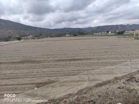 Parcela en Diputacion de Rio - MURCIA