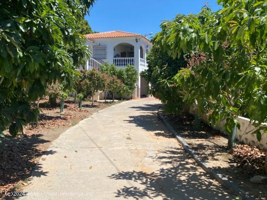 Fantástica finca ideal como explotació turistica con plantas de mangos y aguacates en La Viñuela 