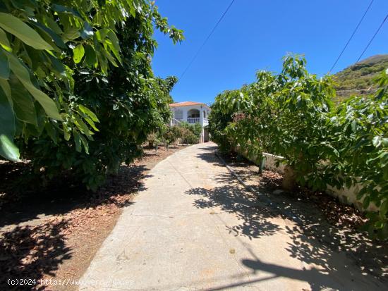 Fantástica finca ideal como explotació turistica con plantas de mangos y aguacates en La Viñuela 