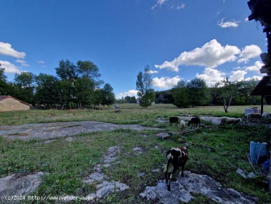 EN VENTA FINCA DE 3250 M2 URBANOS EN VALLE DE MENA - BURGOS