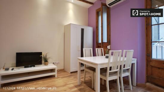 Elegante apartamento de 1 dormitorio en alquiler en El Raval - BARCELONA