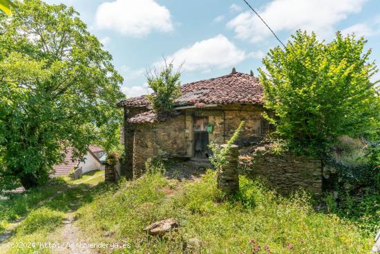 Casa en Troncedo 7,Tineo - ASTURIAS