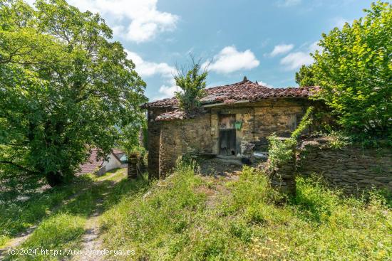 Casa en Troncedo 7,Tineo - ASTURIAS