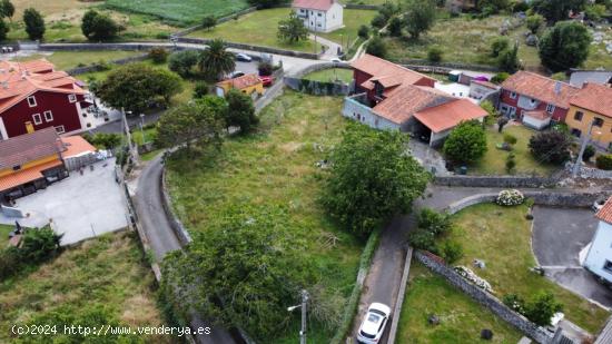 VENTA DE FINCA A 2 KM DE LOS BUFONES DE PRIA - ASTURIAS