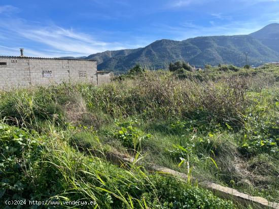 OPORTUNIDAD casa campo en simat de la valldigna - VALENCIA