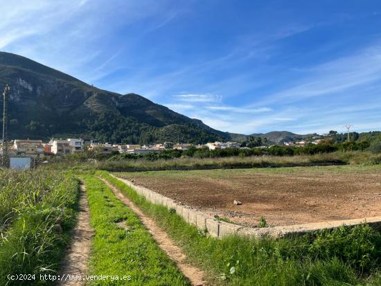 OPORTUNIDAD casa campo en simat de la valldigna - VALENCIA