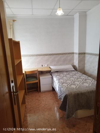 250€GASTOS INCLUIDOS HAB. CHICA ESTUDIANTE - MURCIA