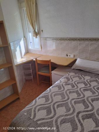 250€GASTOS INCLUIDOS HAB. CHICA ESTUDIANTE - MURCIA