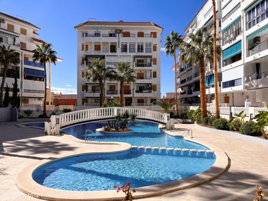  Apartamento en venta en Torrevieja (Alicante) 